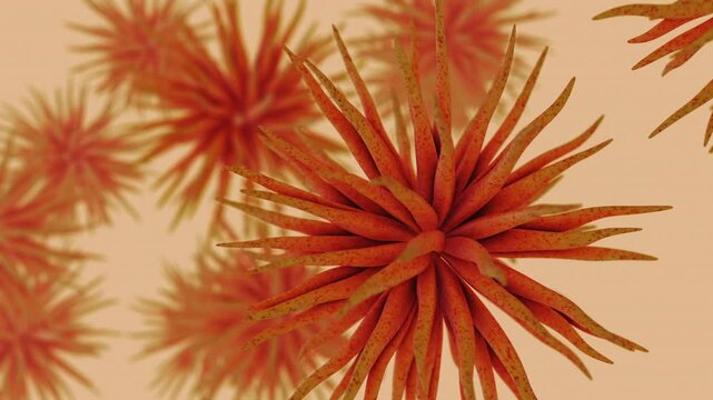 Abstract Black Spiky Spherical Virus rotating and moving in an organic pattern