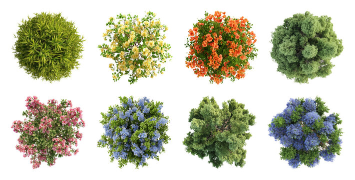 PNG Vibrant colorful top-view foliage on transparent background