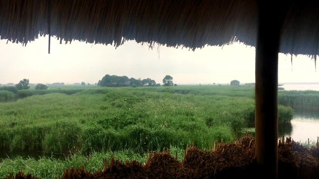View from a shelter in a nature reserve at the Black Lake between Overijssel and Flevoland in The Netherlands.