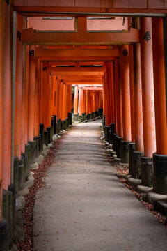Fushimi inari taisha torii gates path kyoto