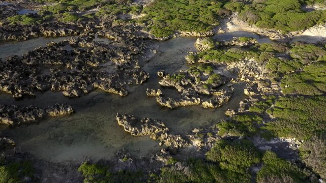 Aerial View of Eua Coastline with Rocky Beach, Blue Waters, and Green Islands, Tonga