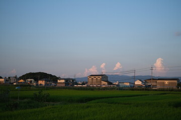  夏の奈良盆地と田んぼその2