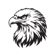 Obraz premium A detailed black and white illustration of an eagle's head, showcasing sharp features.