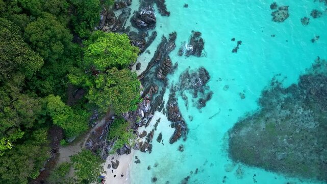Aerial view of Tanjung Gelam Beach where the lush green forest meets the crystal-clear turquoise water, Karimunjawa, Central Java, Indonesia.