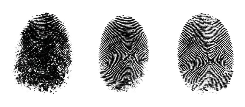 Abstract fingerprint imprint texture set. vector black grunge distressed ink evidence technology artistic dirty background design.