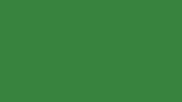 vector white lines wind effect on green screen, UI motion graphics. alpha adjustment layer, smooth animated line filter, 2d animation