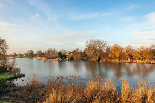 A river on a sunny, windless winter day. The reeds along the banks have turned yellow.