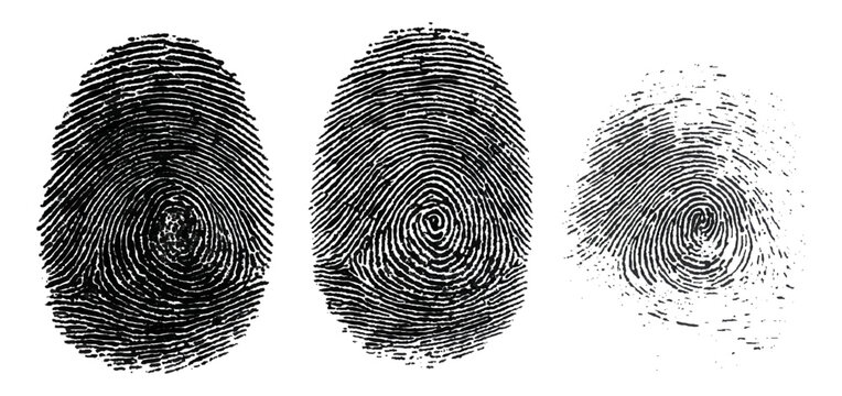 Abstract forensic grunge set fingerprint background texture. vector black grunge fingerprint distressed dirty background design element.