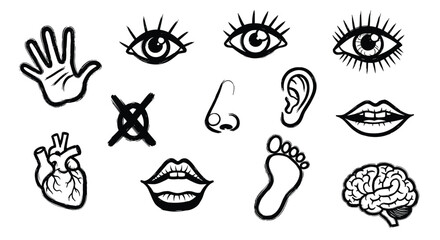 Obraz premium Human body parts and organs icons set simple sketch style