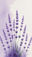 Obraz premium Watercolor illustration of lavender flowers with delicate purple hues and soft background, showcasing the beauty of nature in artistic form