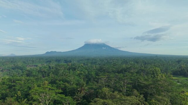 Aerial view of lush green forest leading to a majestic merapi mountain partially covered by clouds, creating a serene landscape at Kali Woro, Klaten, Jawa Tengah, Indonesia.
