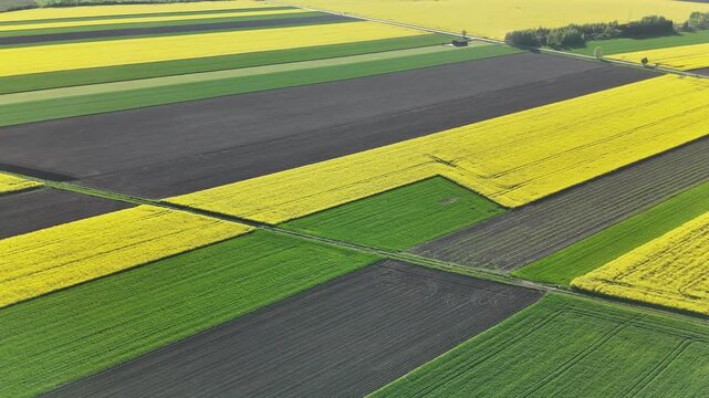 Aerial View of Vibrant Rapeseed and Farmland Landscape in Poland
