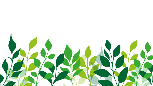 natura, piante, rampicanti, edera, liane, rami,  botanica, vivaio	