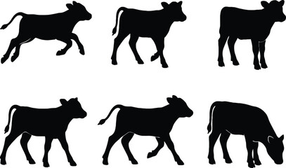 Black calf silhouette icons set with baby cow standing grazing and running poses for cattle farming livestock agriculture and dairy industry © MSTJINNATRAHMAN
