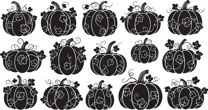 Black and white pumpkins with floral designs illustration set