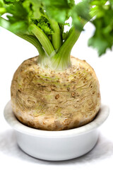 Close-up of a raw vegetable in a kitchen