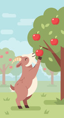 Fototapeta premium Brown goat eating apple from tree, gracefully stretching in sunlit rural landscape. Horned farm goat enjoys sweet juicy apple fruit, reaching branches for fresh healthy snack.