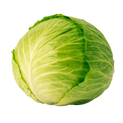 Fototapeta premium Vibrant whole head of fresh green cabbage, a healthy and versatile vegetable, isolated on a transparent background.