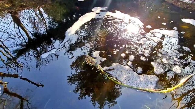 purposes aeration, oxygenation, supply vital fish. summer, is less soluble in warm water. Filtration support: Oxygen is essential for aerobic bacteria that break down impurities, harmful substances in