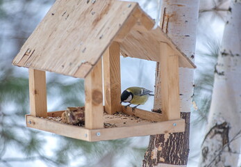 A bird feeder attached to a tree. Inside is a titmouse with a yellow breast and black heads.  © OKSANA