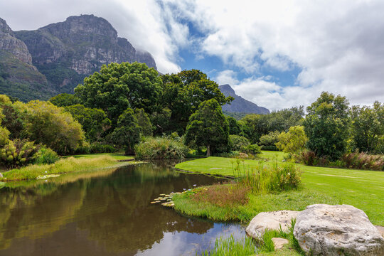 Scenic landscapes in Cape Town botanical garden