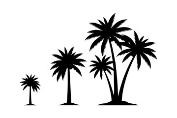 Obraz premium A series of palm trees increasing in size from left to right