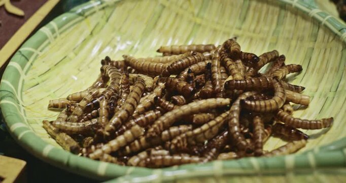 Chengdu, Sichuan, China. Fried Mealworm Larvae, close-up view. Cooked Mealworm Larvae Served On Bamboo Dish. Various Cooked Insects Thread On Skewers. Crispy Insects Popular Sichuan Snack Cheap High