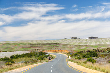 Naklejka premium Asphalt road in South Africa surrounded by fields