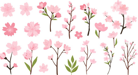 Pink cherry blossom flower branches, buds and leaves set, sakura illustration with petals.Japanese spring floral elements for background, pattern and frame design.