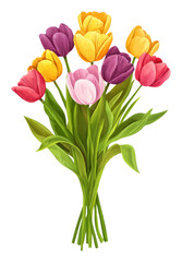 Obraz premium PNG Tulips clip art flower tulip illustration.