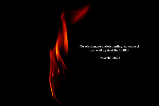 Proverbs 21 30