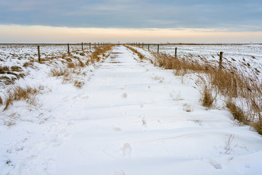 snow at Langwarder Groden during winter 2026