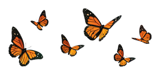 PNG Vibrant monarch butterflies flying