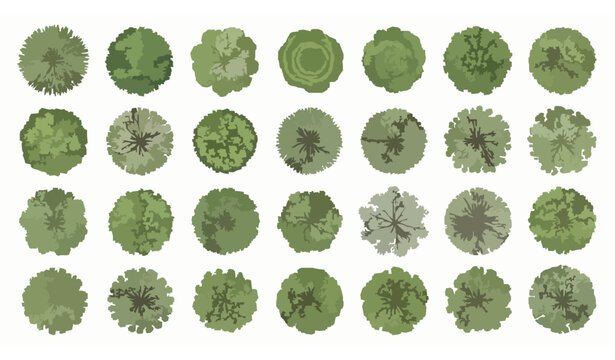 Trees top view vector set for landscape architecture garden planning and outdoor design layout elements