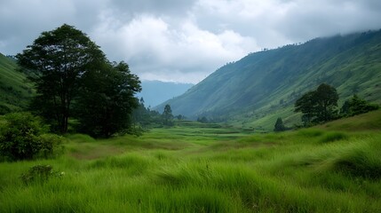 Fototapeta premium A sweeping green valley with rolling hills under a moody overcast sky featuring lush grass and scattered trees