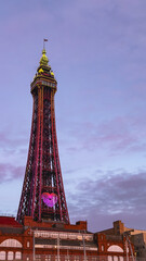 Fototapeta premium The blackpool tower during sunset.