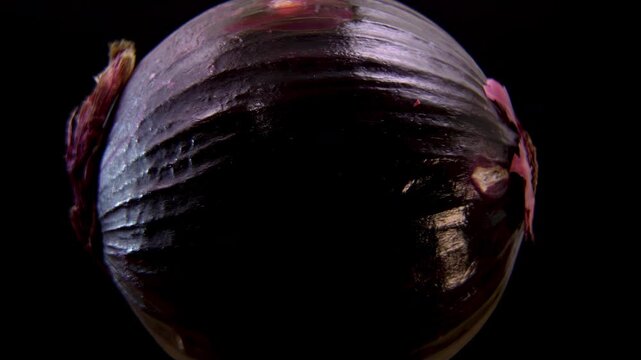 Red Mars Onion: Detailed botanical study of the Allium cepa bulb anatomy. Purple Bulb and Roots Rotating on Black Background