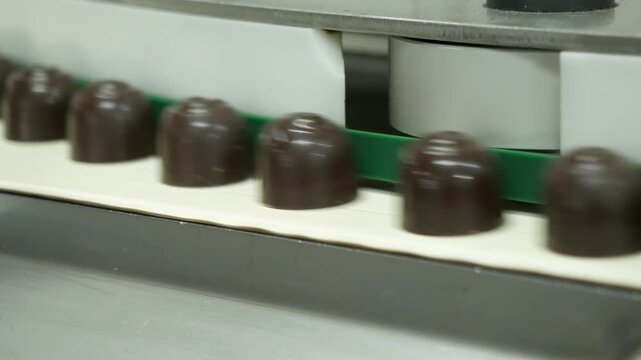 Rows of round dark chocolate truffles with decorative swirl patterns moving along high speed automated conveyor belt in industrial confectionery plant