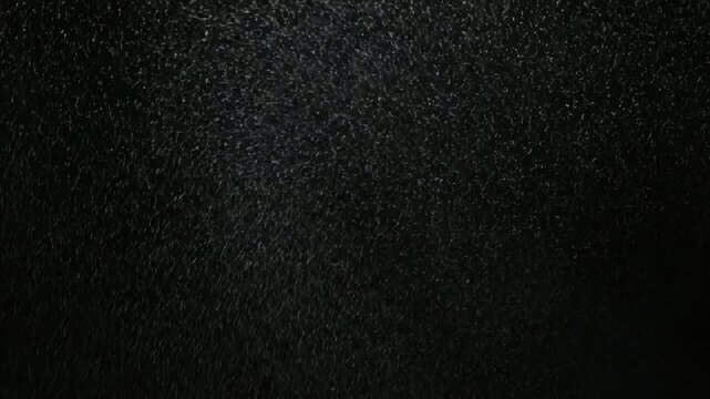 Close-up of dark, textured animal fur, macro shot, natural background