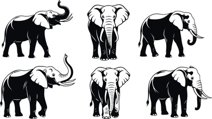 Vector silhouette collection of majestic African elephants featuring various poses with trunks up and down for wildlife conservation and nature graphic design projects. © MstRazia