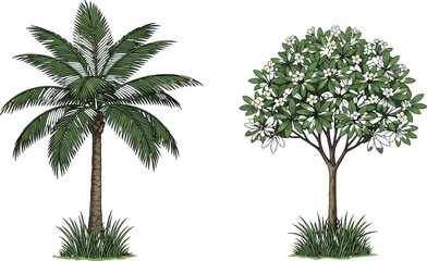 Tropical palm tree and flowering garden tree illustration set with lush green leaves and white blossoms, botanical nature plants isolated on white background