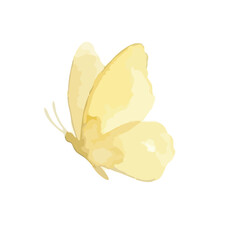 Fototapeta premium Hand drawn watercolor butterfly illustration, graceful colorful insect for spring design／蝶