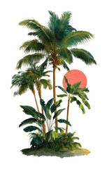 Obraz premium PNG Tropical palms with sun backdrop.