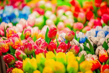 Obraz premium Colorful display of vibrant flowers brightening a market scene in springtime