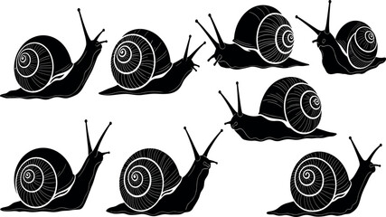 Vector illustration collection of various snail silhouettes with detailed spiral shells isolated on white background for nature and garden designs. © MstJakarina