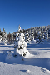 Obraz premium The summit of the snowy mountain, Québec, Canada