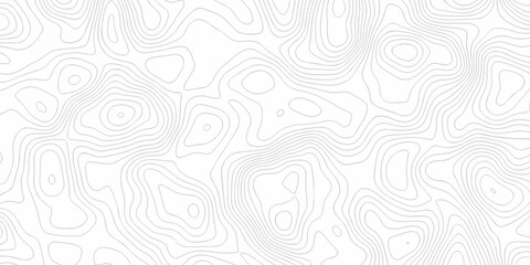 Seamless grid landscape white area curve topography elevation map design. wave diagram contour stripe spiral composition discovery paper surface design. © haven lklkj11