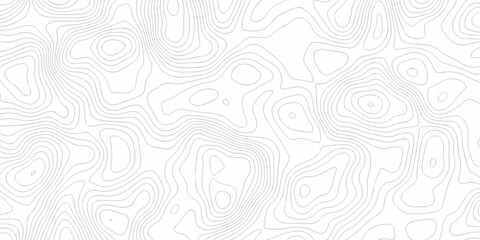Seamless grid landscape white and gray area curve topography elevation map design. wave diagram contour stripe spiral composition discovery paper surface design. © haven lklkj11