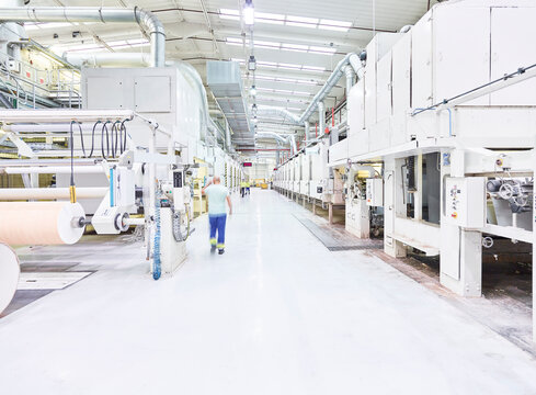 Rumania, woodworking, veneer production, worker in productions hall