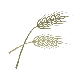 Obraz premium aehre100326a